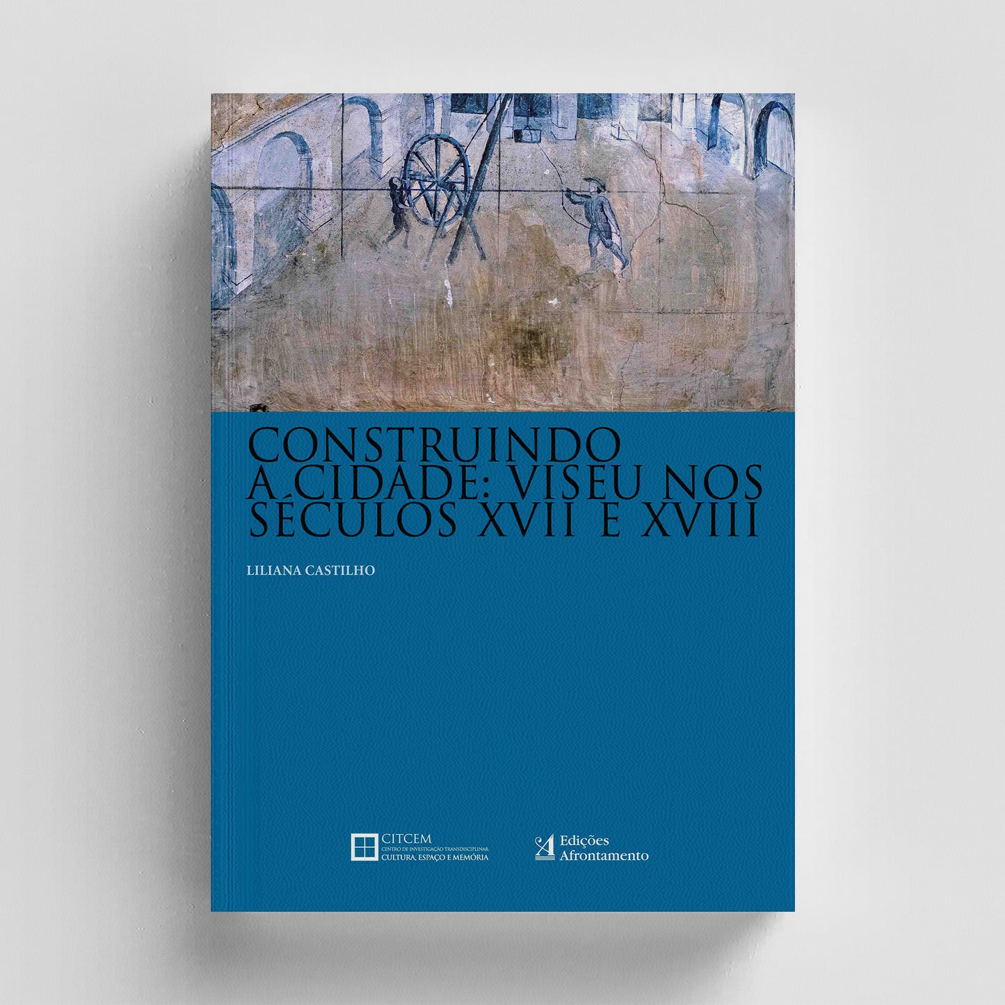 Construindo a Cidade: Viseu nos Séculos XVII e XVIII