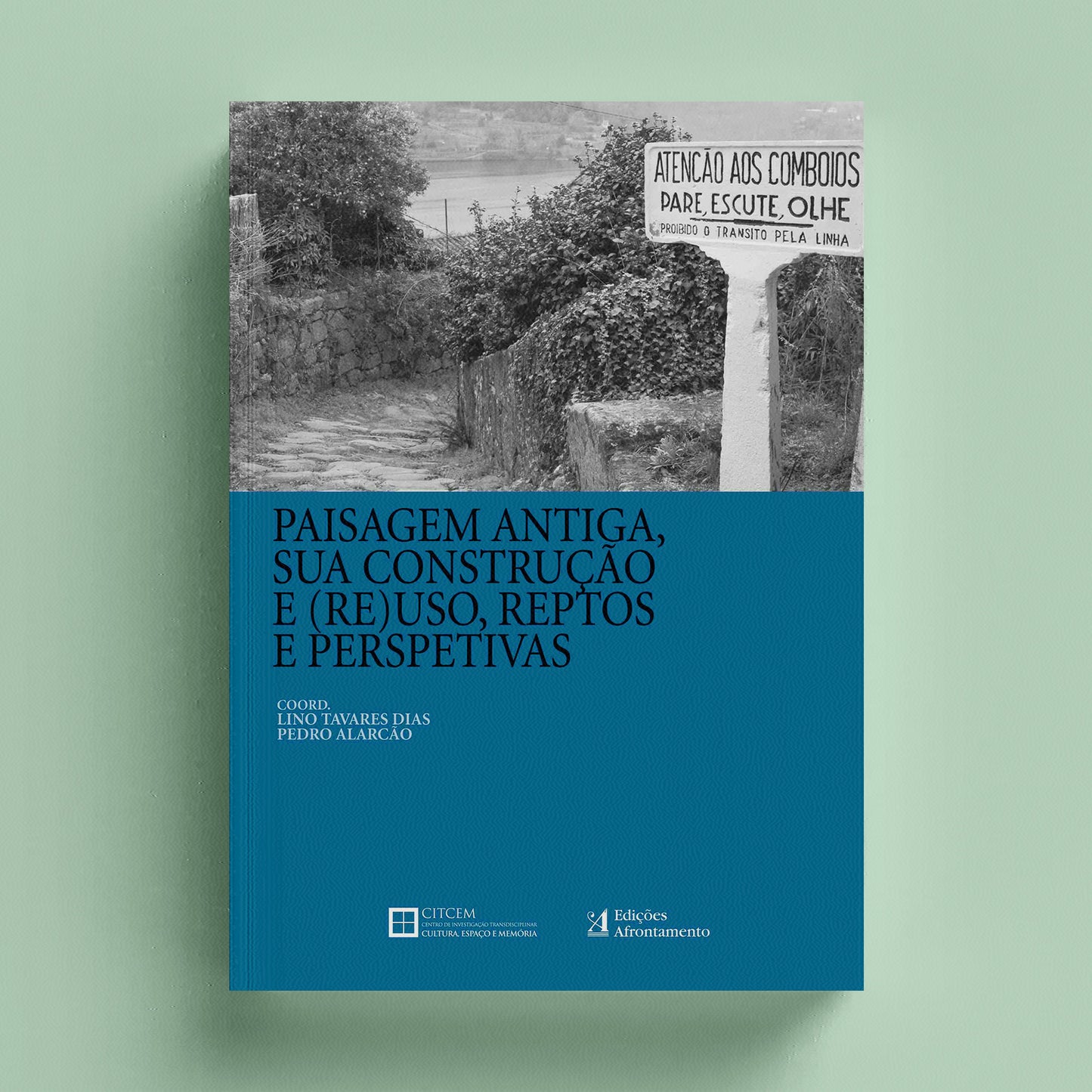 Paisagem Antiga, Sua Construção e (Re)uso, Reptos e Perspetivas