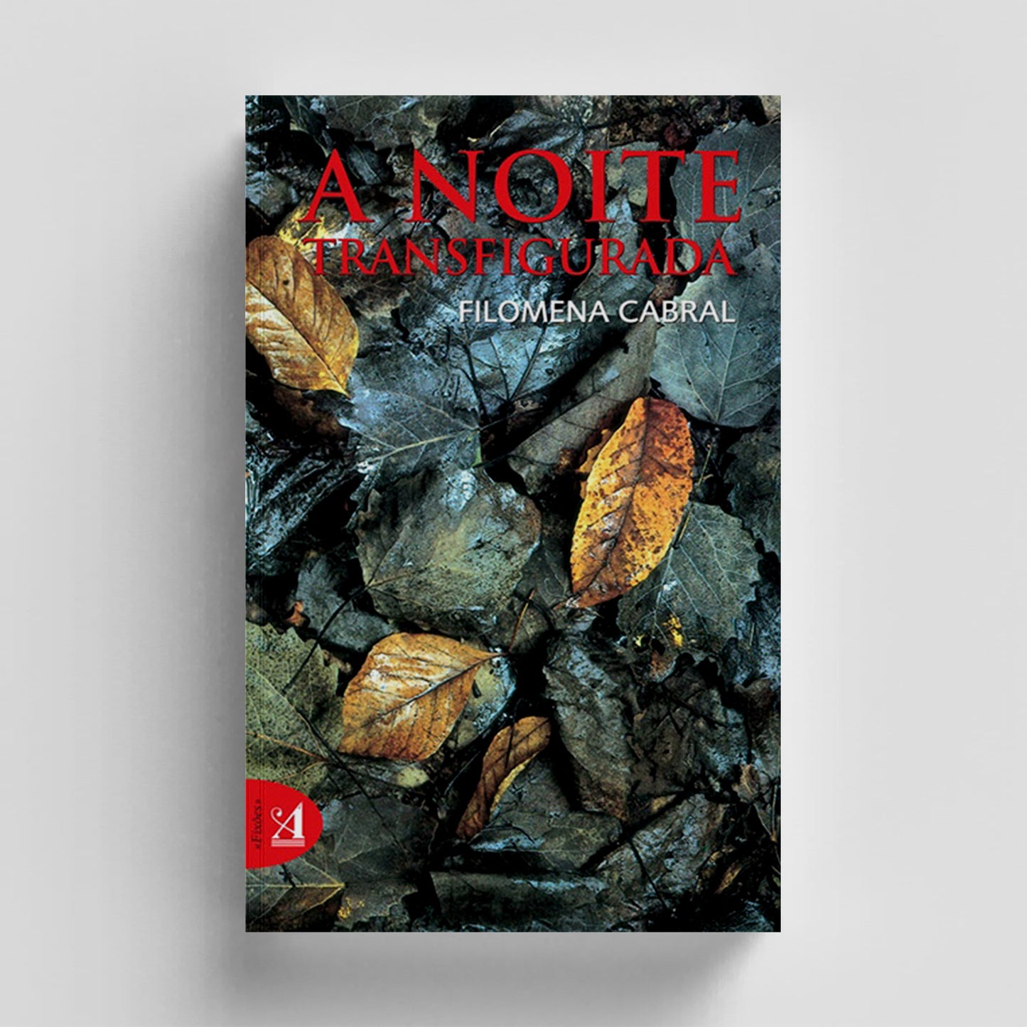 A Noite Transfigurada