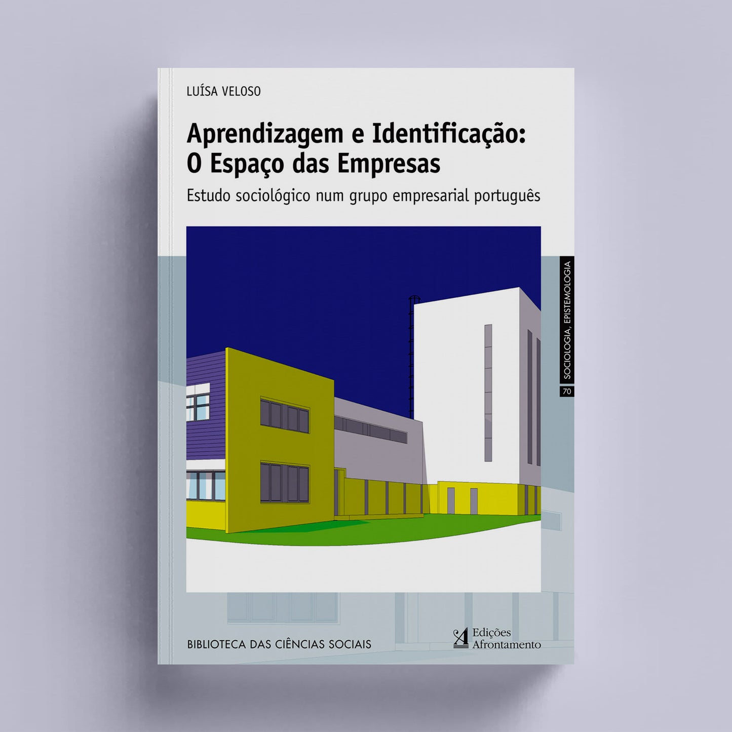 Aprendizagem e Identificação: O Espaço das Empresas