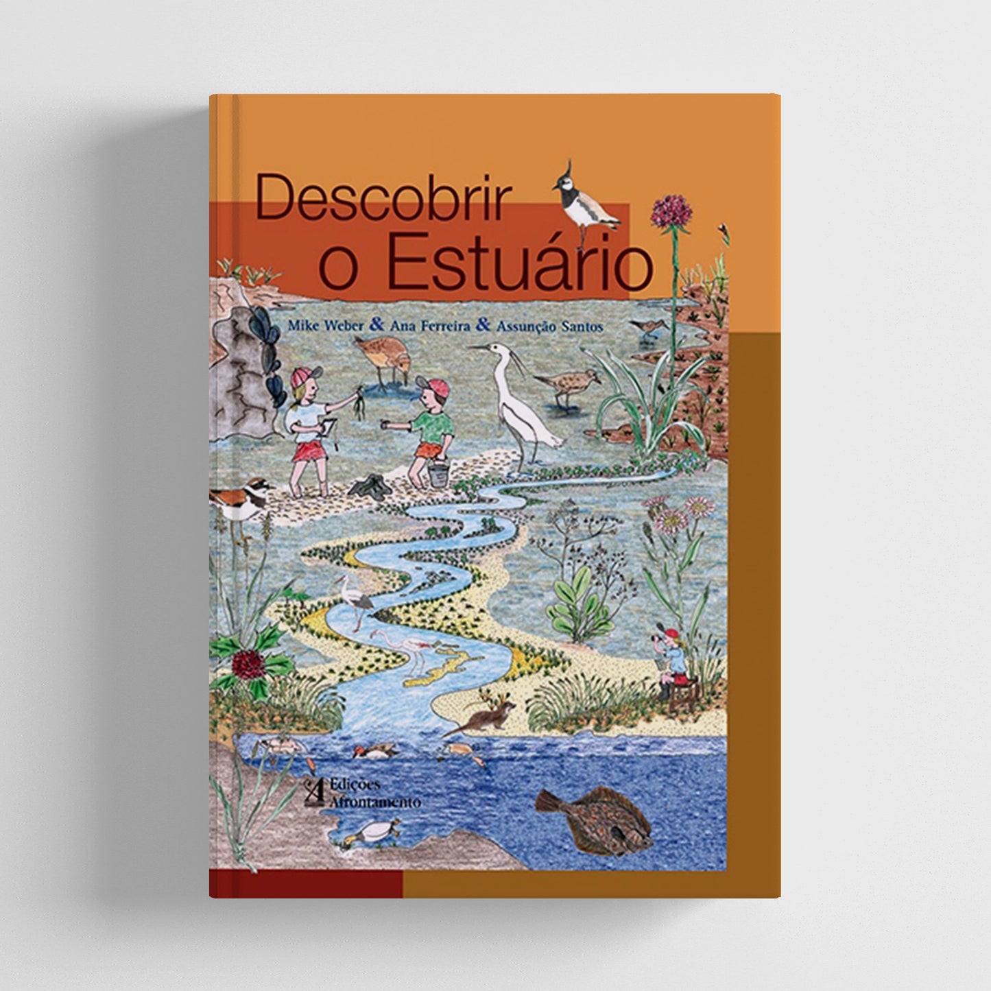 Descobrir o Estuário