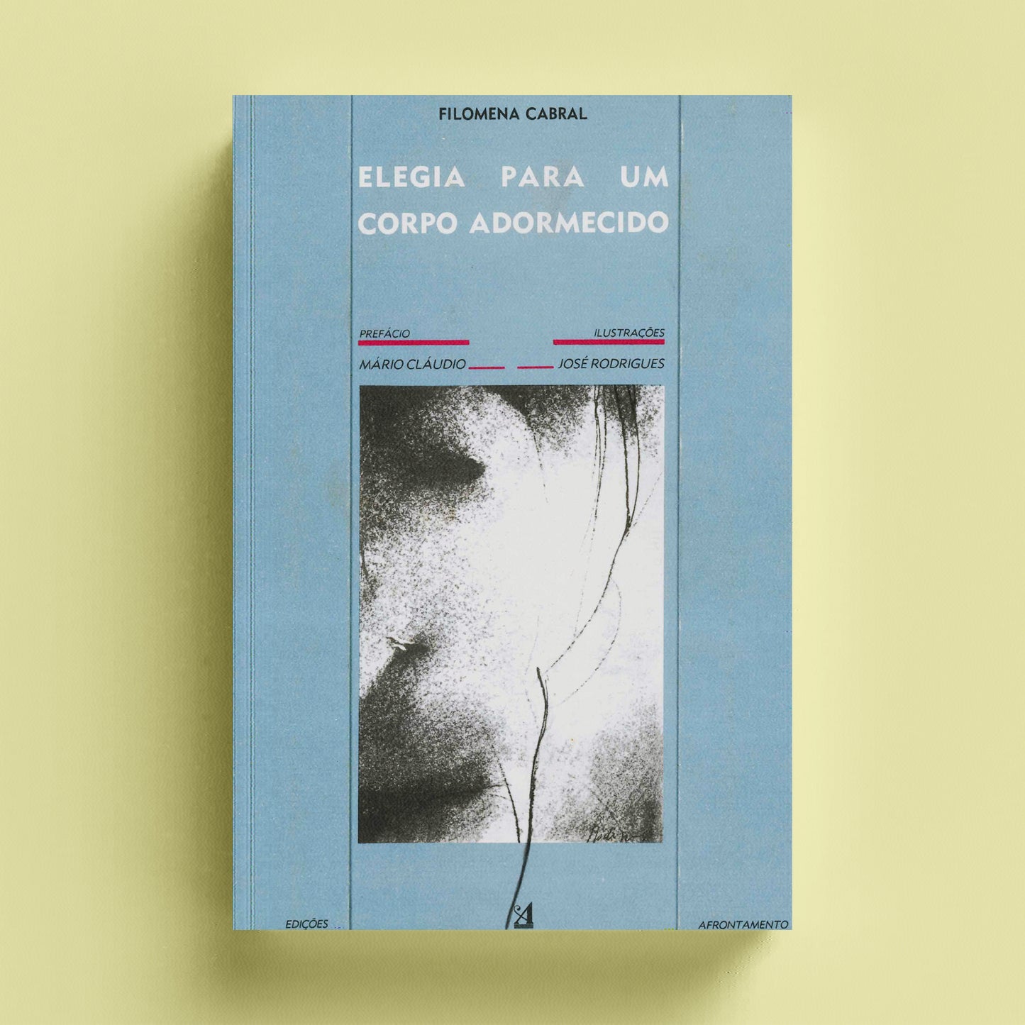 Elegia para um Corpo Adormecido