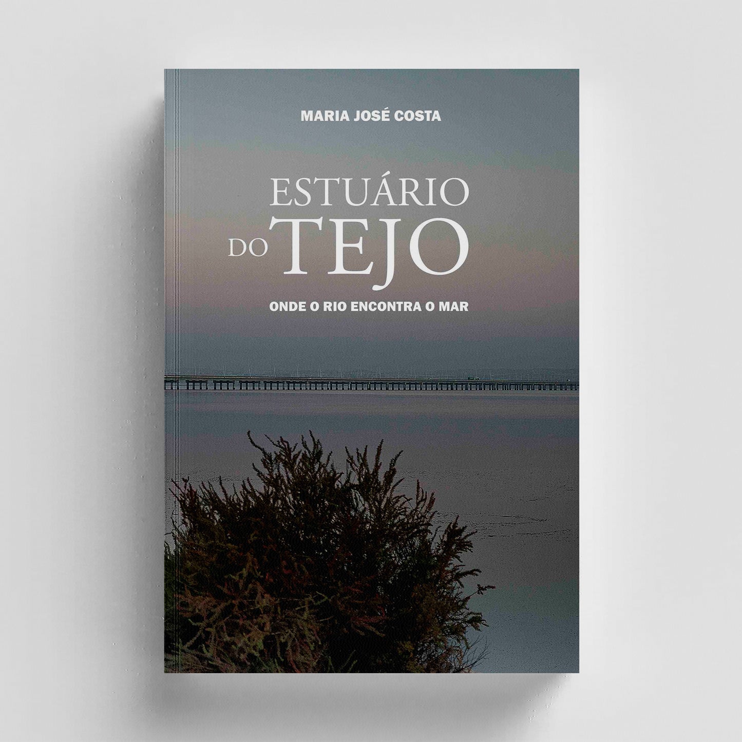 Estuário do Tejo