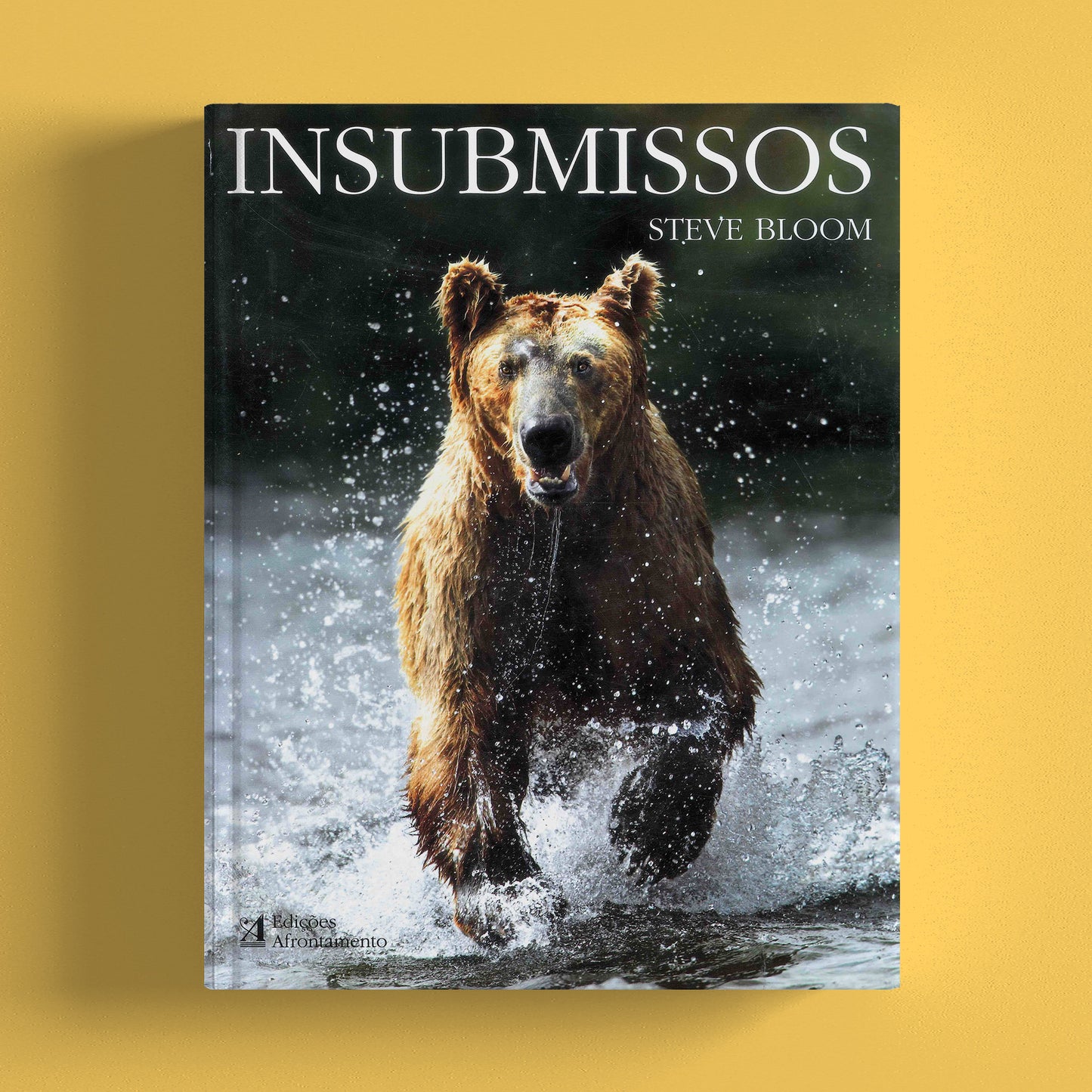 Insubmissos