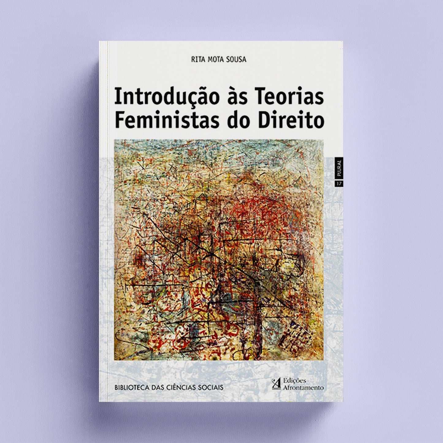 Introdução às Teorias Feministas do Direito