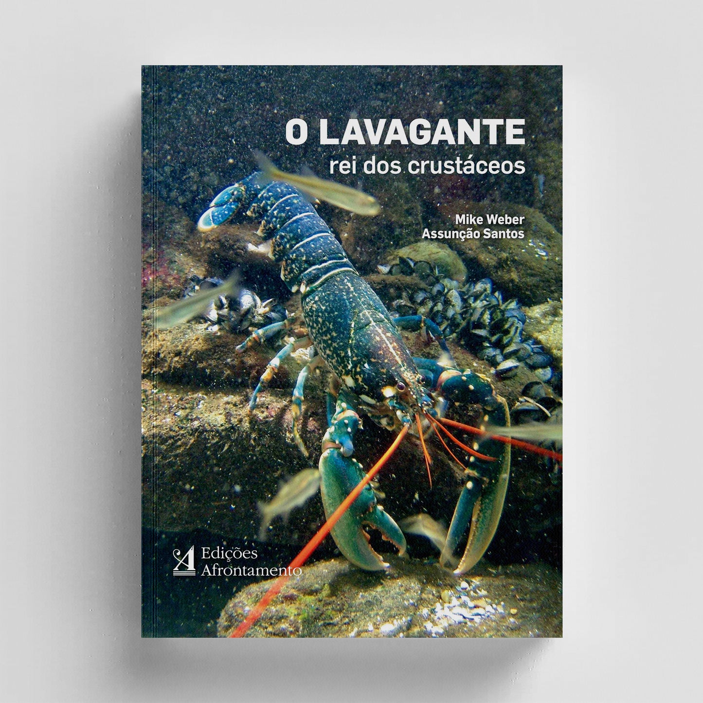 O Lavagante