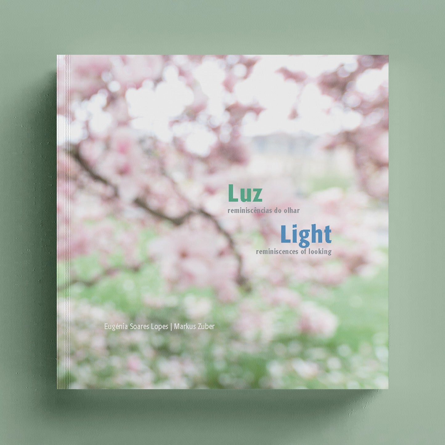 Luz. Reminiscências do Olhar / Light. Reminiscences of Looking