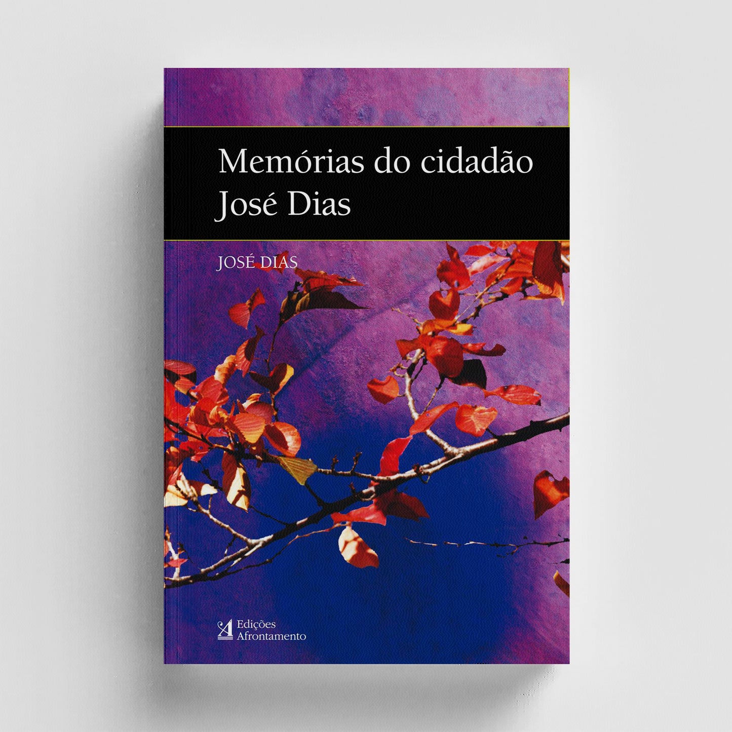 Memórias do Cidadão José Dias