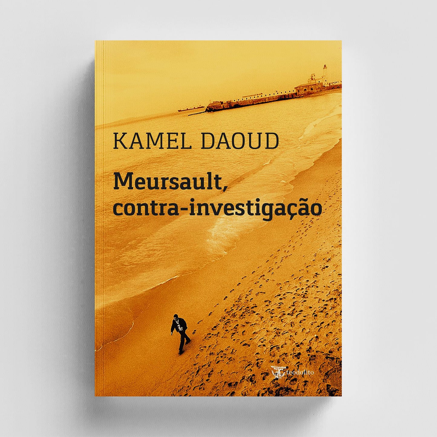 Meursault, contra-investigação