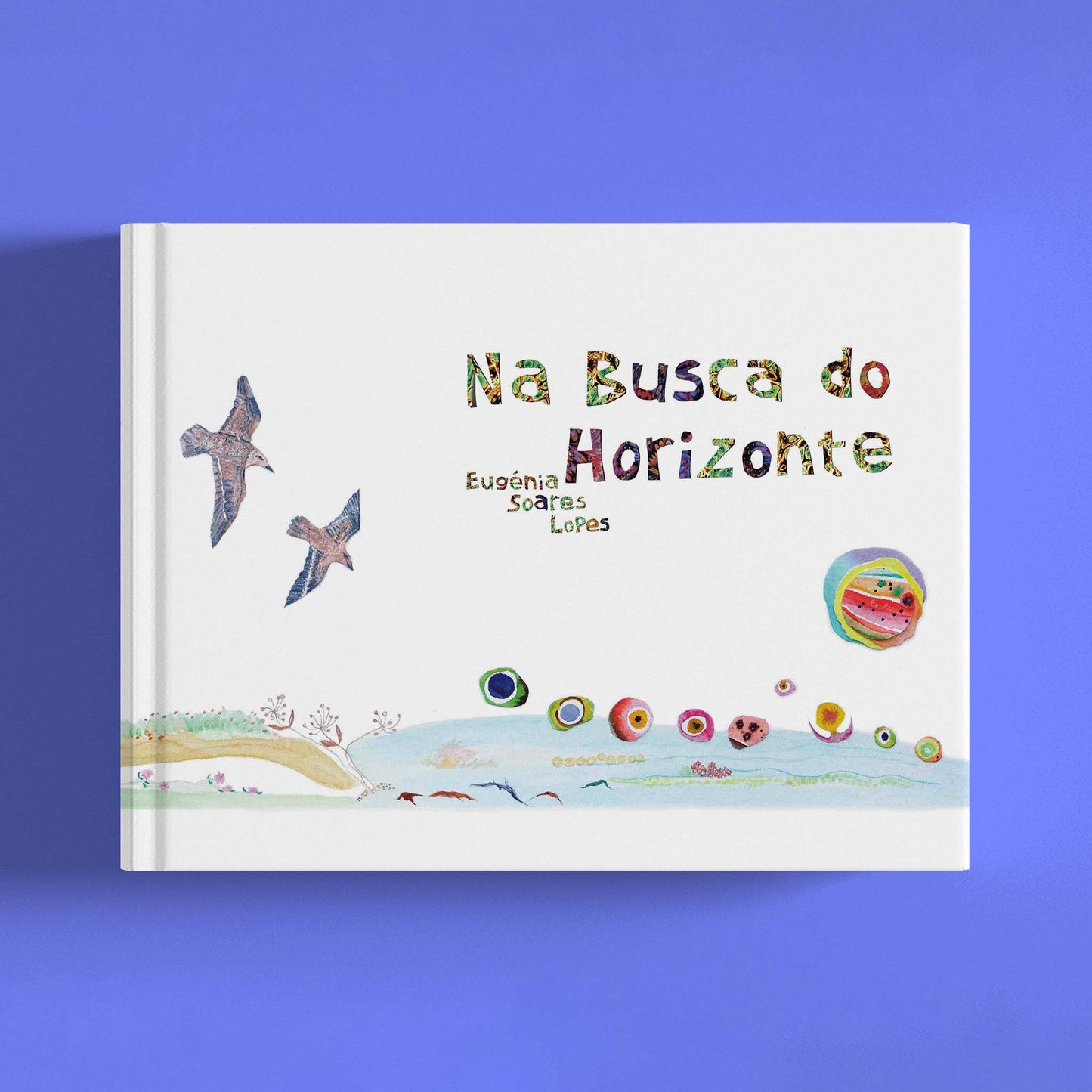 Na Busca do Horizonte