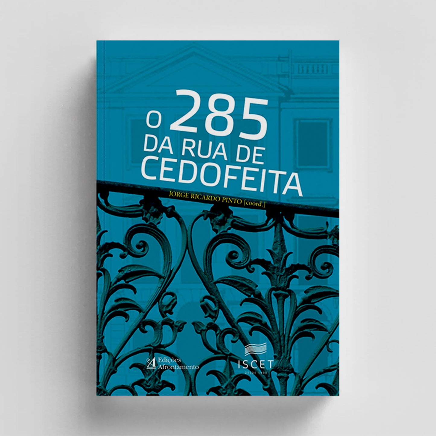 O 285 da Rua de Cedofeita