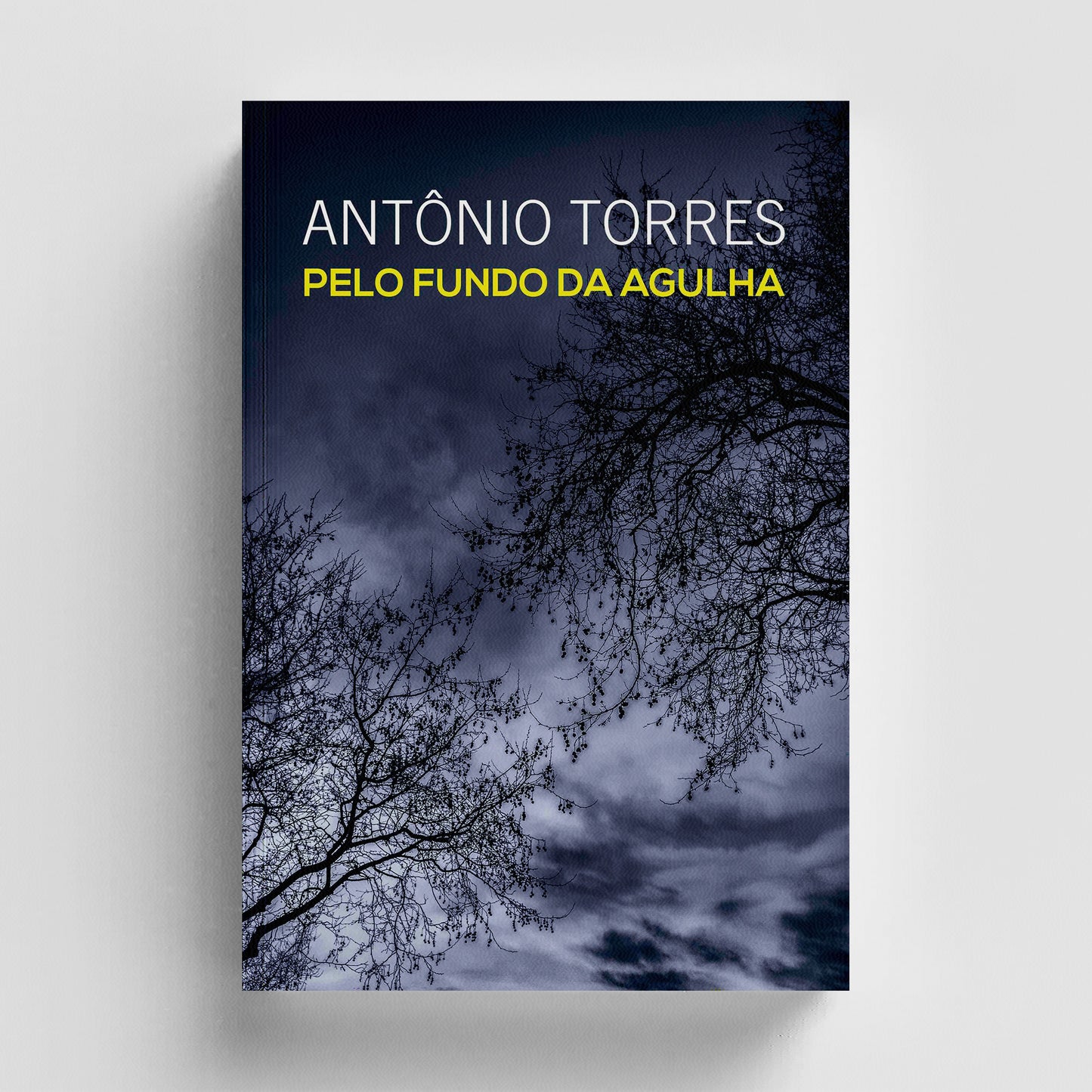 Pelo Fundo da Agulha