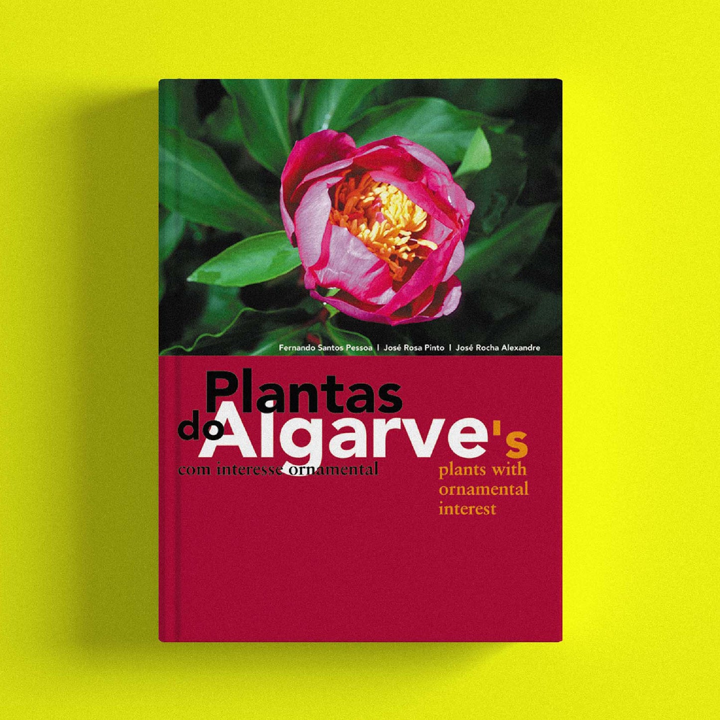 Plantas do Algarve Com Interesse Ornamental