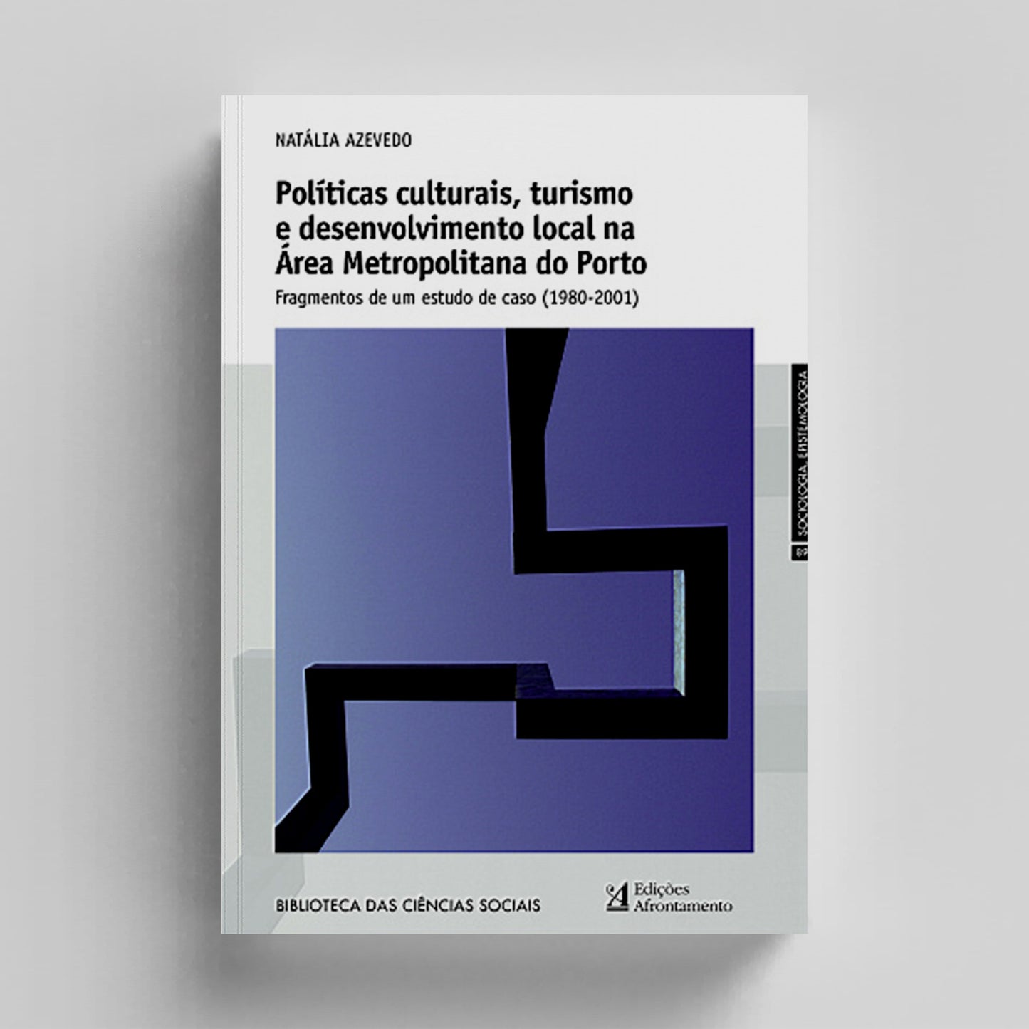 Políticas Culturais, Turismo e Desenvolvimento Local na Área Metropolitana do Porto