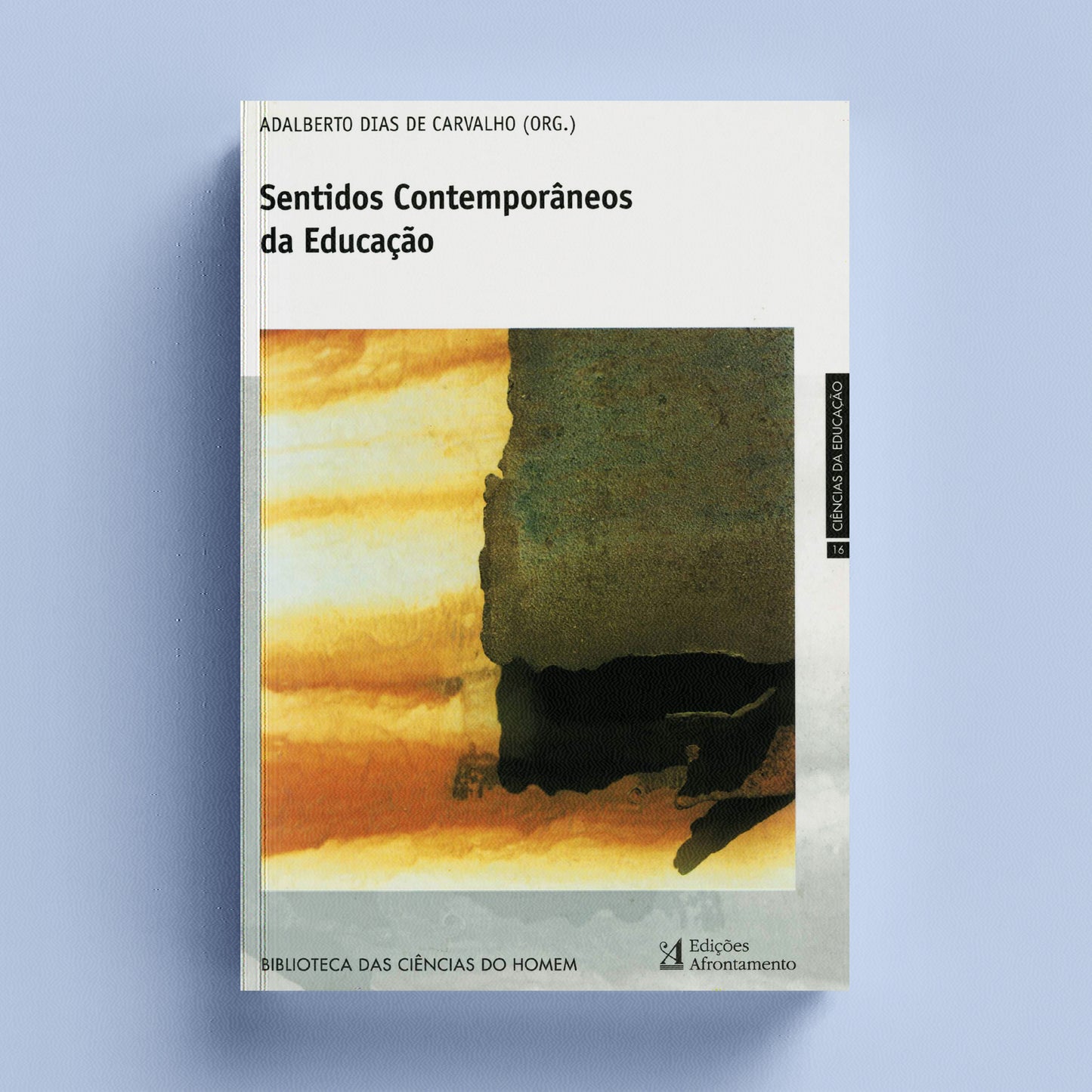 Sentidos Contemporâneos da Educação