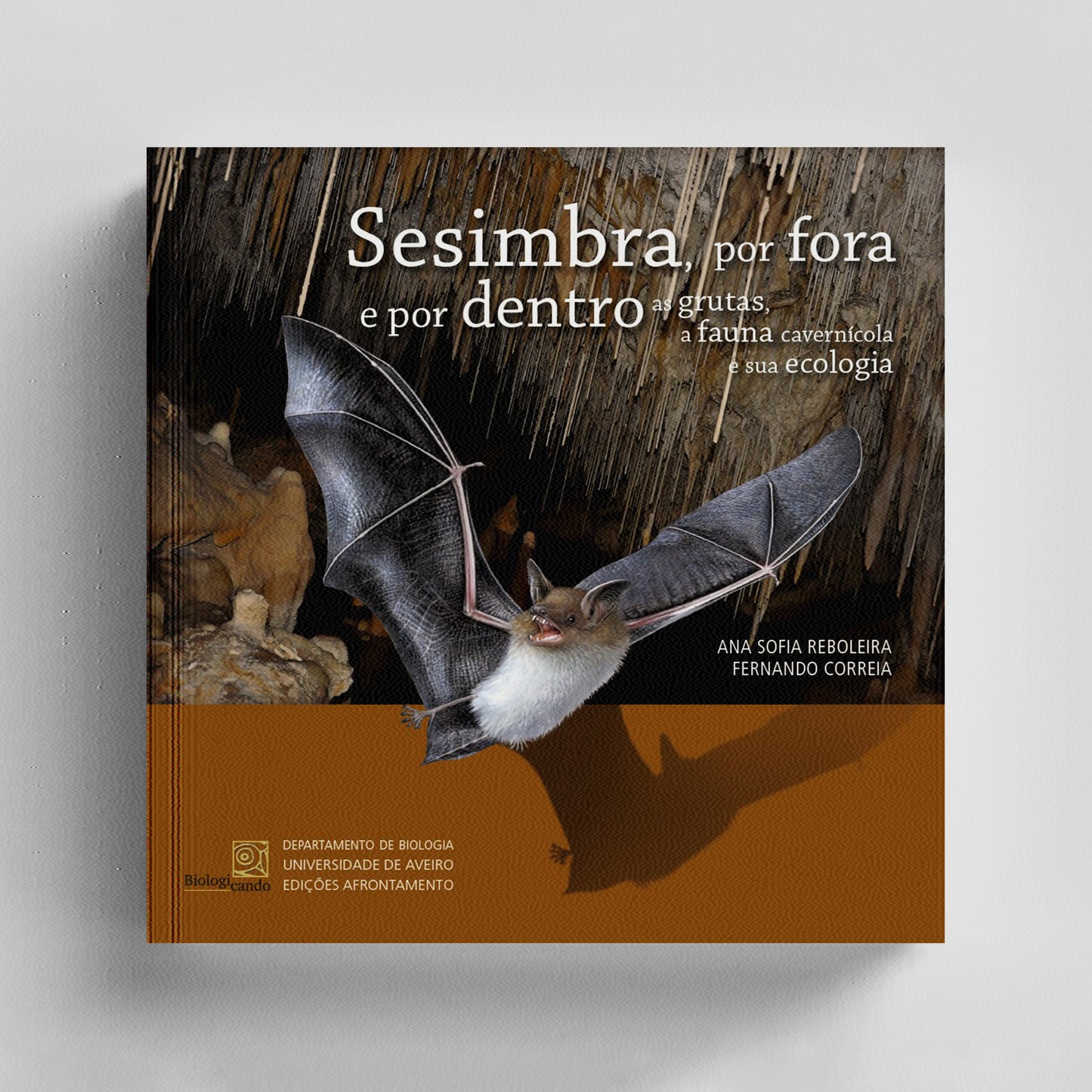 Sesimbra, por fora e por dentro