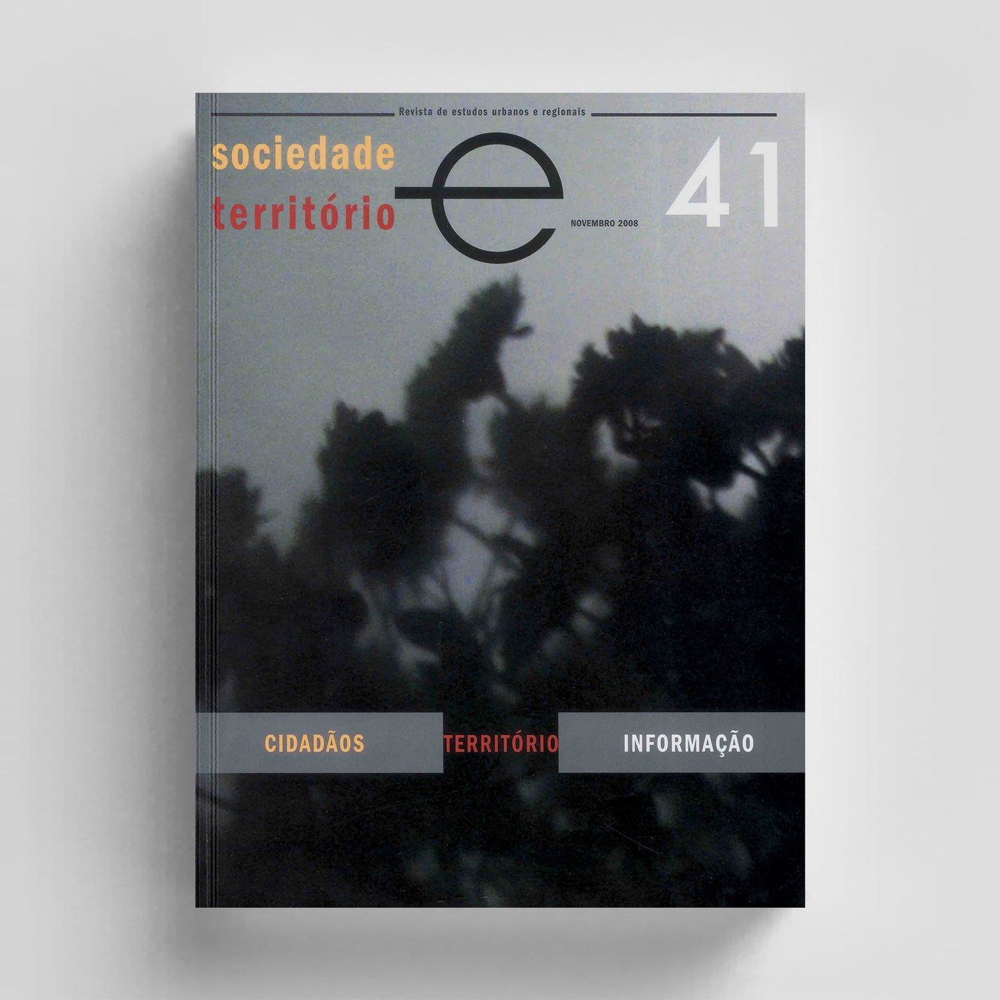 Sociedade e Território Nº41