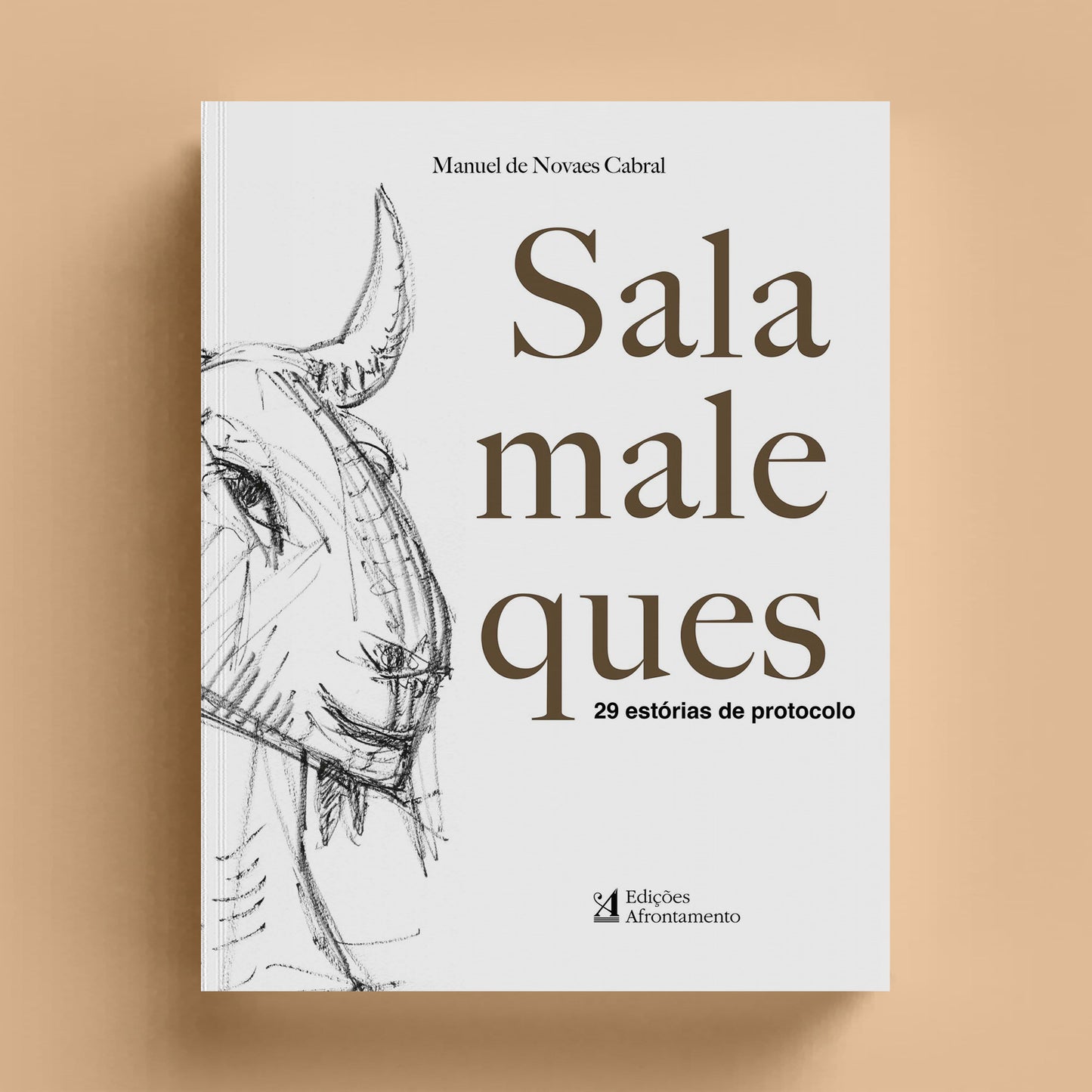 Salamaleques