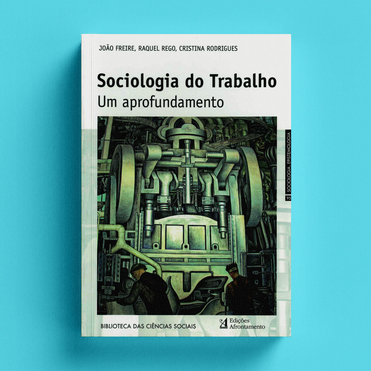 Sociologia do Trabalho. Um aprofundamento – Edições Afrontamento